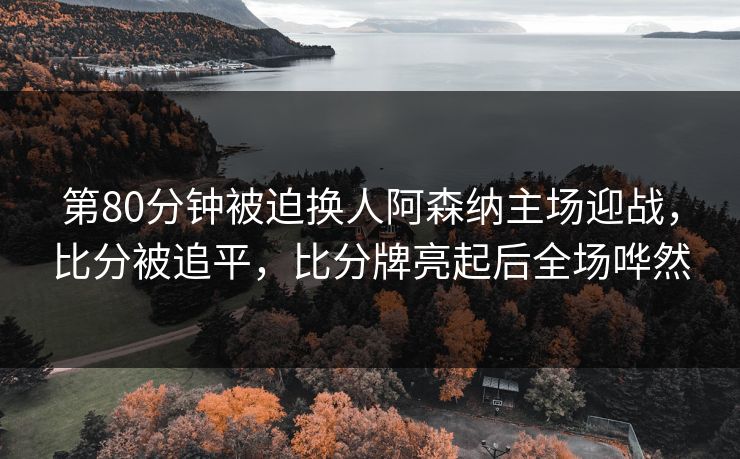 第80分钟被迫换人阿森纳主场迎战，比分被追平，比分牌亮起后全场哗然